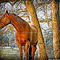 Beautiful Dreamer #1 by Rabiah Seminole