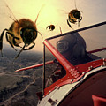 Bee Attack 2 Photograph by Jim Painter Bee Attack 2 Photograph by Jim Painter