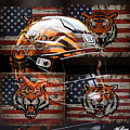 Bengals #1 by Mike Peconge