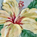 Bridal Hibiscus #1 by Mafalda Cento