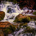 Bushkill Cascades by Nick Zelinsky Jr
