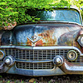 Classic Old Cadillac #2 by Darryl Brooks
