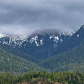 Cloudy Mountain Forest #1 by Bill Posner
