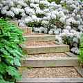 Cornell Botanic Gardens #7 Photograph by Mindy Musick King Cornell Botanic Gardens #7 Photograph by Mindy Musick King