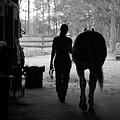 Day's End Photograph by Minnie Gallman Day's End Photograph by Minnie Gallman