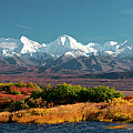Denali's Path Photograph by Ed Boudreau