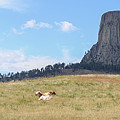 Devils Tower #1 Photograph by Brook Burling