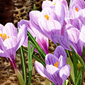 Early Spring Painting by Espero Art Early Spring Painting by Espero Art
