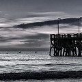 Eighteen Pelicans Predawn #1 Photograph by Steven Sparks Eighteen Pelicans Predawn #1 Photograph by Steven Sparks