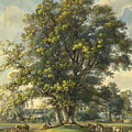 Et in Arcadia Ego Drawing by Johann Georg von Dillis Et in Arcadia Ego Drawing by Johann Georg von Dillis