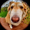 Extreme Closeup Photograph by Brad Nellis Extreme Closeup Photograph by Brad Nellis
