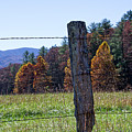 Fence Post Photograph by Phil Perkins Fence Post Photograph by Phil Perkins