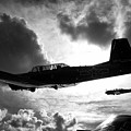 Formation Flight in Black and White Photograph by Carolyn Hutchins Formation Flight in Black and White Photograph by Carolyn Hutchins
