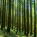 Go Take A Hike Photograph by Leslie Struxness Go Take A Hike Photograph by Leslie Struxness