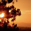 Lucky Sunset Photograph by Andrew Lawrence Lucky Sunset Photograph by Andrew Lawrence