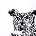Great Horned Owl #1 by Terri Mills
