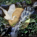 Harmony in Nature Photograph by Shara Abel Harmony in Nature Photograph by Shara Abel