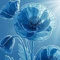 Ice Poppies 1 by Alex Mir