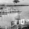 Irvington VA Virginia - TIDES INN MARINA #1 by Dave Lynch