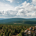 Lost in the wilderness Photograph by Vaclav Sonnek Lost in the wilderness Photograph by Vaclav Sonnek