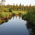 Mackin Creek Photograph by Nicola Finch Mackin Creek Photograph by Nicola Finch