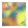 March Morning #1 by Fran Hogan