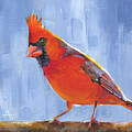 Messenger - Cardinal painting #1 by Annie Troe