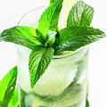 Mojito Cocktail Photograph by Jelena Jovanovic Mojito Cocktail Photograph by Jelena Jovanovic