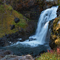 Moose Falls #1 by Brad Schwarm