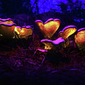 Glowing Mushroom 6 Photograph by Benny Woodoo Glowing Mushroom 6 Photograph by Benny Woodoo
