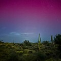 Northern Lights Tonto National Forest #1 by Tammy Keyes