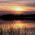 November Sunset Photograph by Mary Walchuck November Sunset Photograph by Mary Walchuck