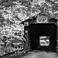 Olin-Dewey Road Bridge #1 by Brad Nellis