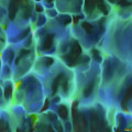 Opal Gem Painting by Daniel Jean-Baptiste Opal Gem Painting by Daniel Jean-Baptiste