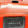Ooooo Orange Photograph by Lens Art Photography By Larry Trager Ooooo Orange Photograph by Lens Art Photography By Larry Trager