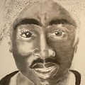 PAC Drawing by Angie ONeal PAC Drawing by Angie ONeal