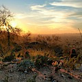 Phoenix Sunset Photograph by Brad Nellis Phoenix Sunset Photograph by Brad Nellis