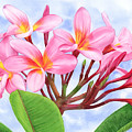 Plumeria Painting by Espero Art Plumeria Painting by Espero Art