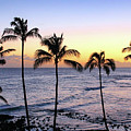 Poipu Palms at Sunset Photograph by Robert Carter Poipu Palms at Sunset Photograph by Robert Carter