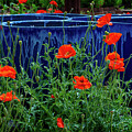 Red Poppies and Pottery by Lynn Bauer