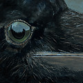 Raven's Eye Painting by Les Herman Raven's Eye Painting by Les Herman