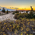 Seagull Beach Cape Cod #1 by Michelle Constantine