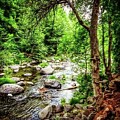 Sedona River by Cherry Vercher