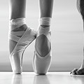 Shall We Dance Photograph by Laura Fasulo Shall We Dance Photograph by Laura Fasulo