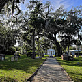 St. Augustine Cemetery Photograph by George Taylor St. Augustine Cemetery Photograph by George Taylor
