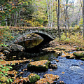 Stone Arch Bridge in Autumn Photograph by Wayne Marshall Chase Stone Arch Bridge in Autumn Photograph by Wayne Marshall Chase