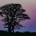 Sundown Photograph by Cathy Kovarik Sundown Photograph by Cathy Kovarik