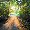 Sunlit Pathway #2 by Greg Lane