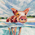 Swimming Pig #1 by AnneMarie Welsh