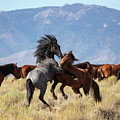_t__7224 Photograph by John T Humphrey _t__7224 Photograph by John T Humphrey